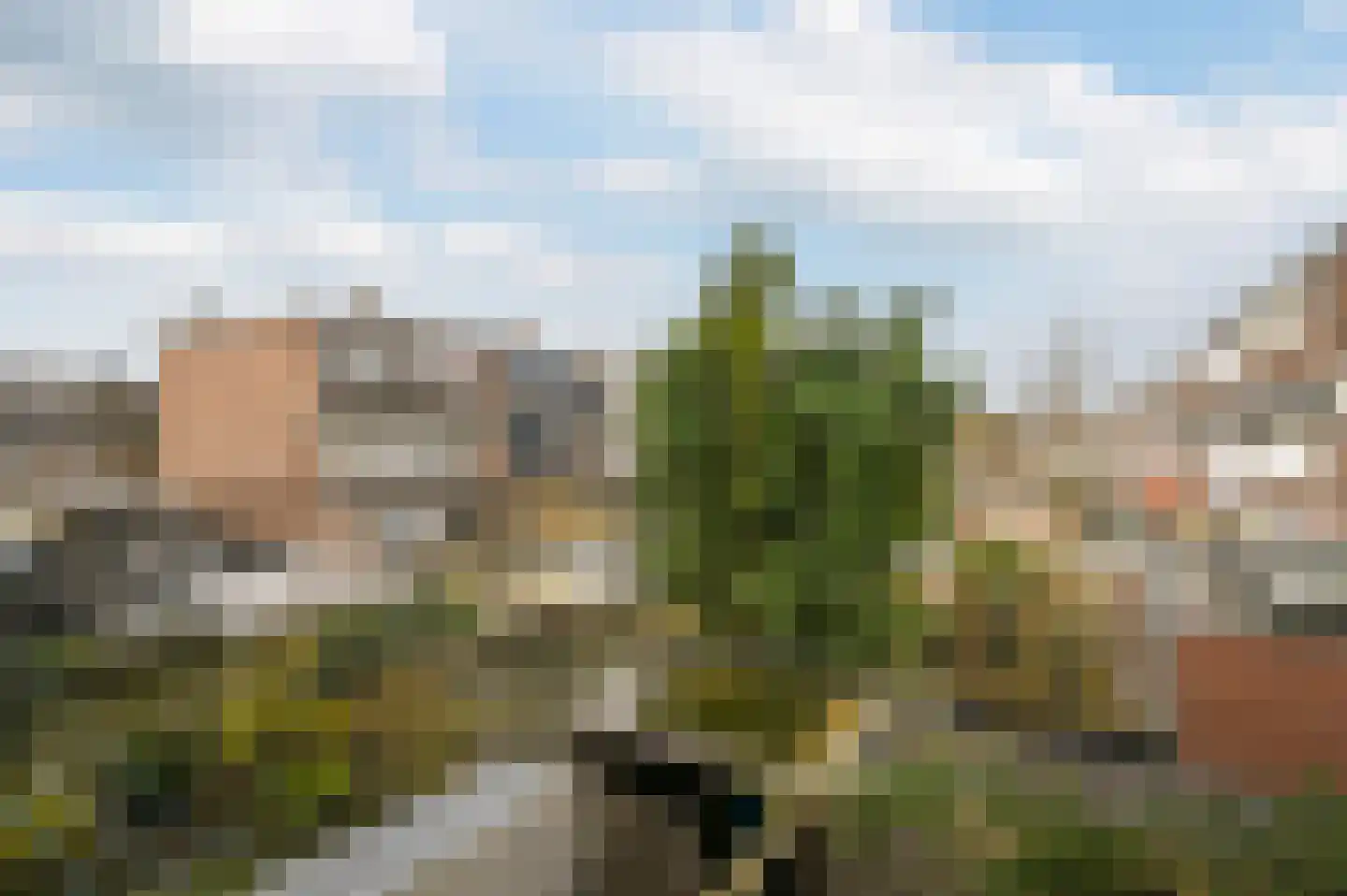 van Montfoortstraat 55 Voorburg thumbnail 19