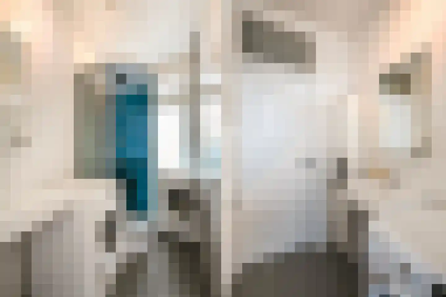 van Montfoortstraat 55 Voorburg thumbnail 26