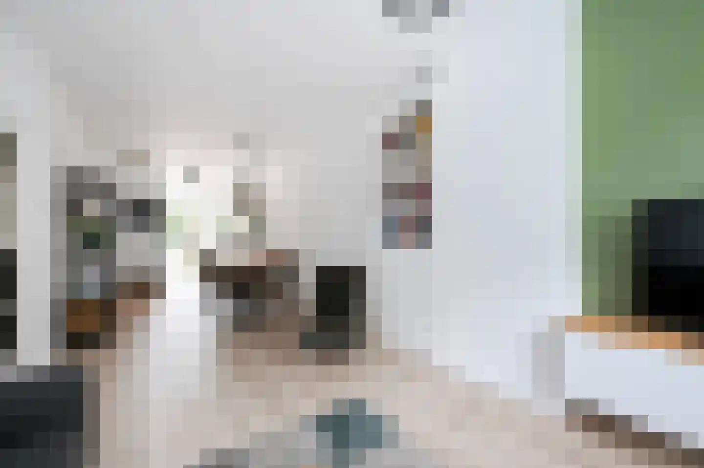 van Montfoortstraat 57 Voorburg thumbnail 11