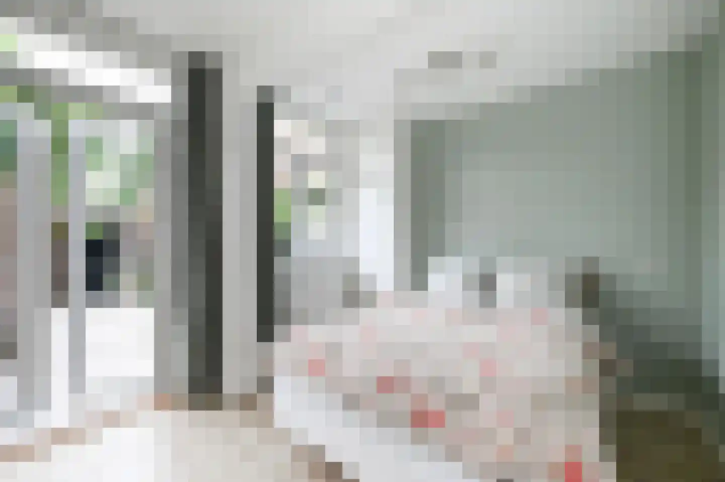 van Montfoortstraat 57 Voorburg thumbnail 19
