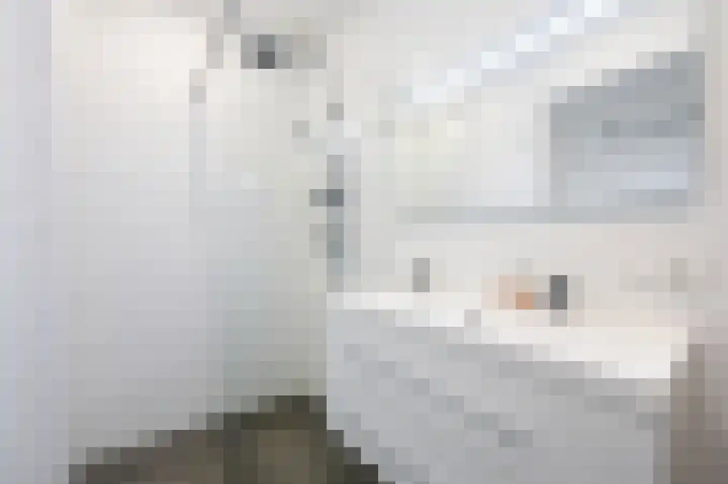 van Montfoortstraat 57 Voorburg thumbnail 22