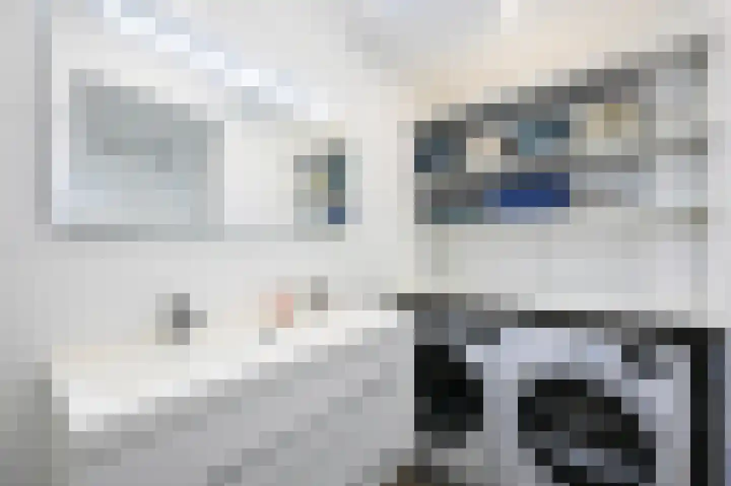 van Montfoortstraat 57 Voorburg thumbnail 23