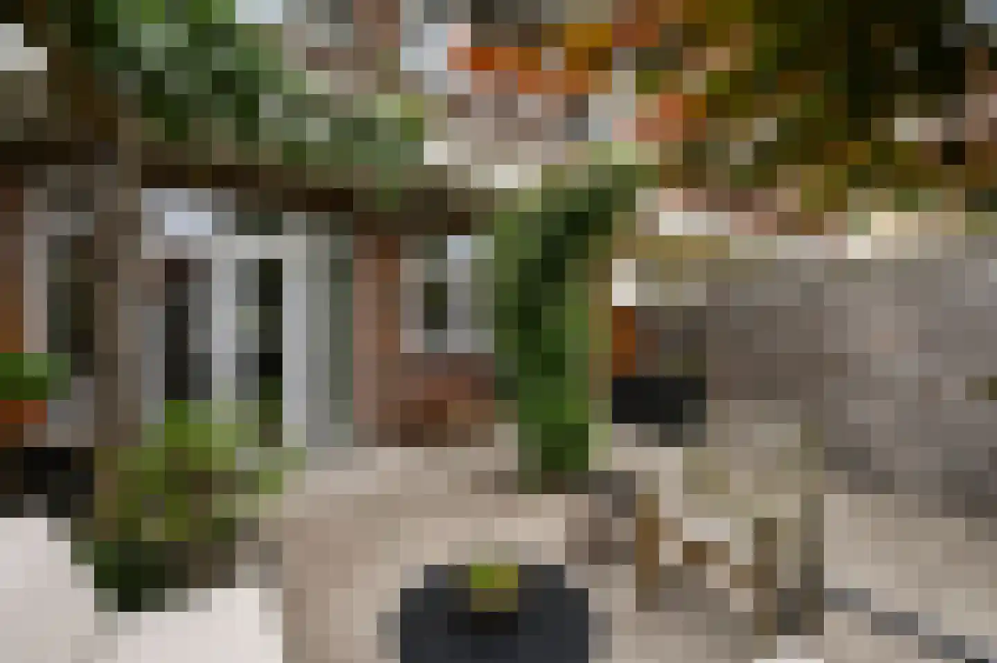 van Montfoortstraat 57 Voorburg thumbnail 31