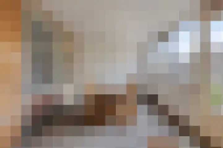 Van Mookstraat 3 Oss thumbnail 10