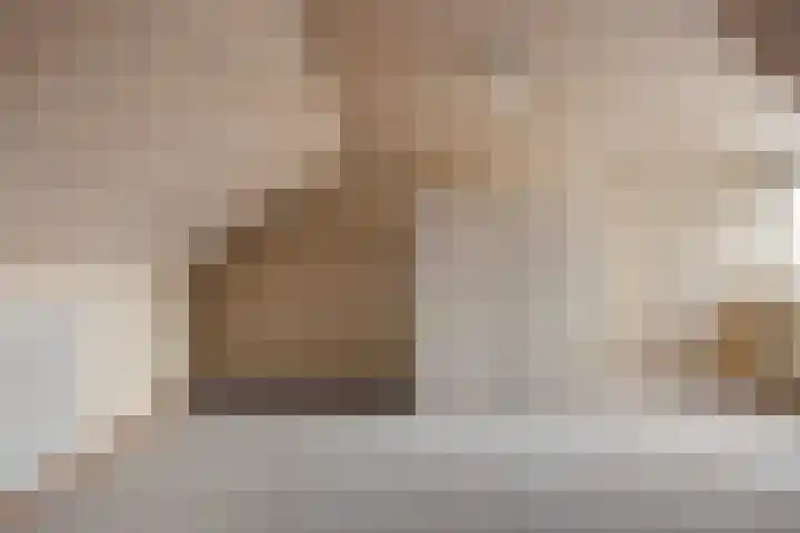 Van Mookstraat 3 Oss thumbnail 24