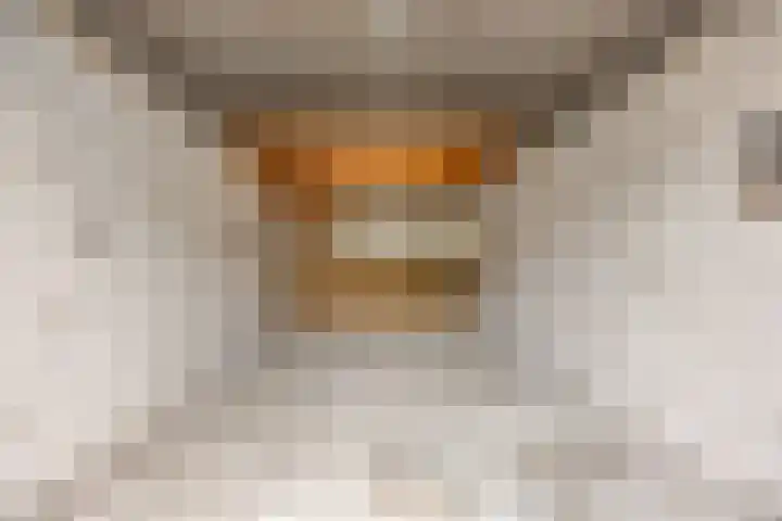 Van Mookstraat 3 Oss thumbnail 28
