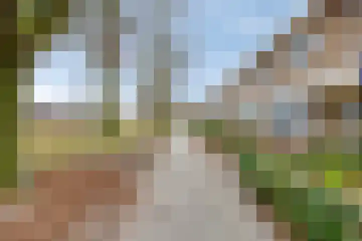 Van Mookstraat 3 Oss thumbnail 31