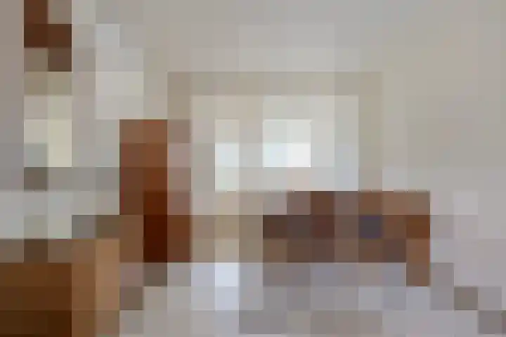 Van Mookstraat 3 Oss thumbnail 4
