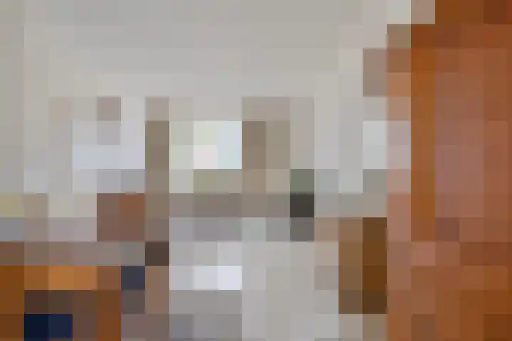 Van Mookstraat 3 Oss thumbnail 6