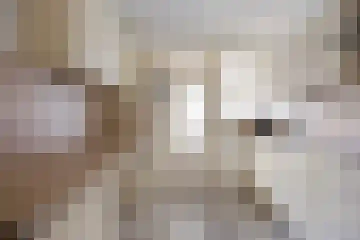 Van Mookstraat 3 Oss thumbnail 7