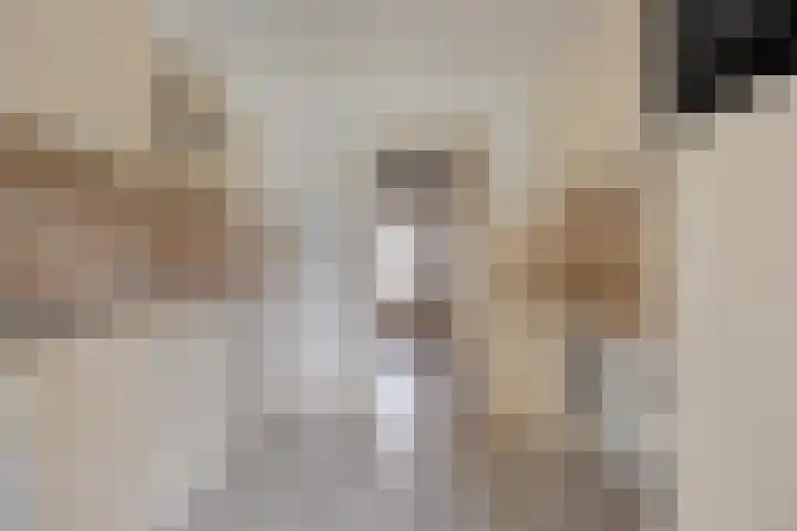 Van Mookstraat 3 Oss thumbnail 8