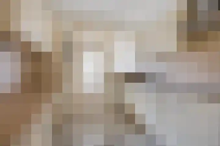 Van Mookstraat 3 Oss thumbnail 9