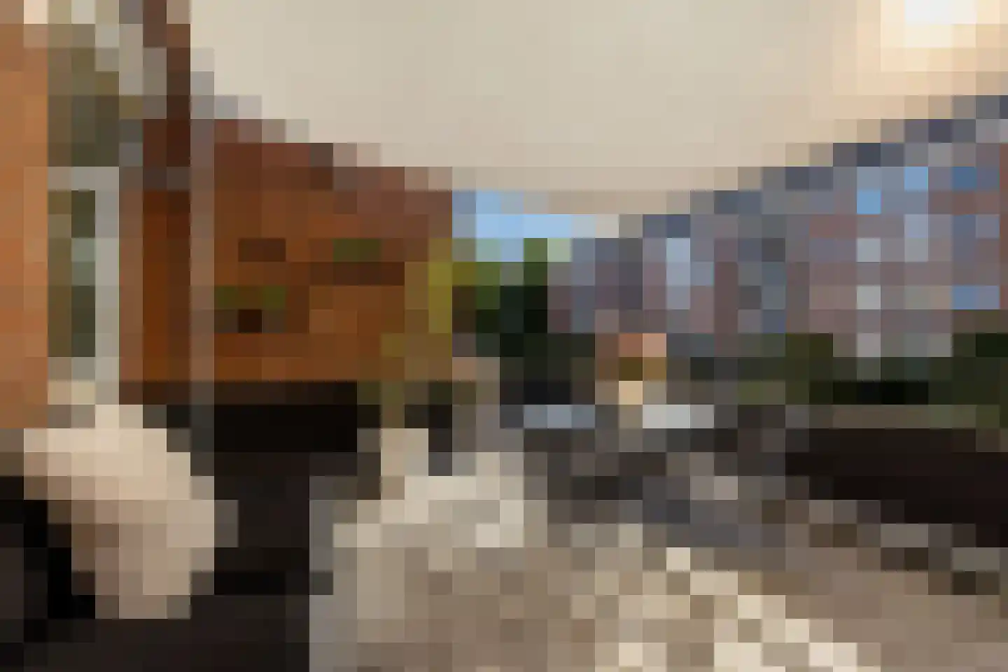 Van Mourik Broekmanstraat 18 1 Amsterdam thumbnail 27