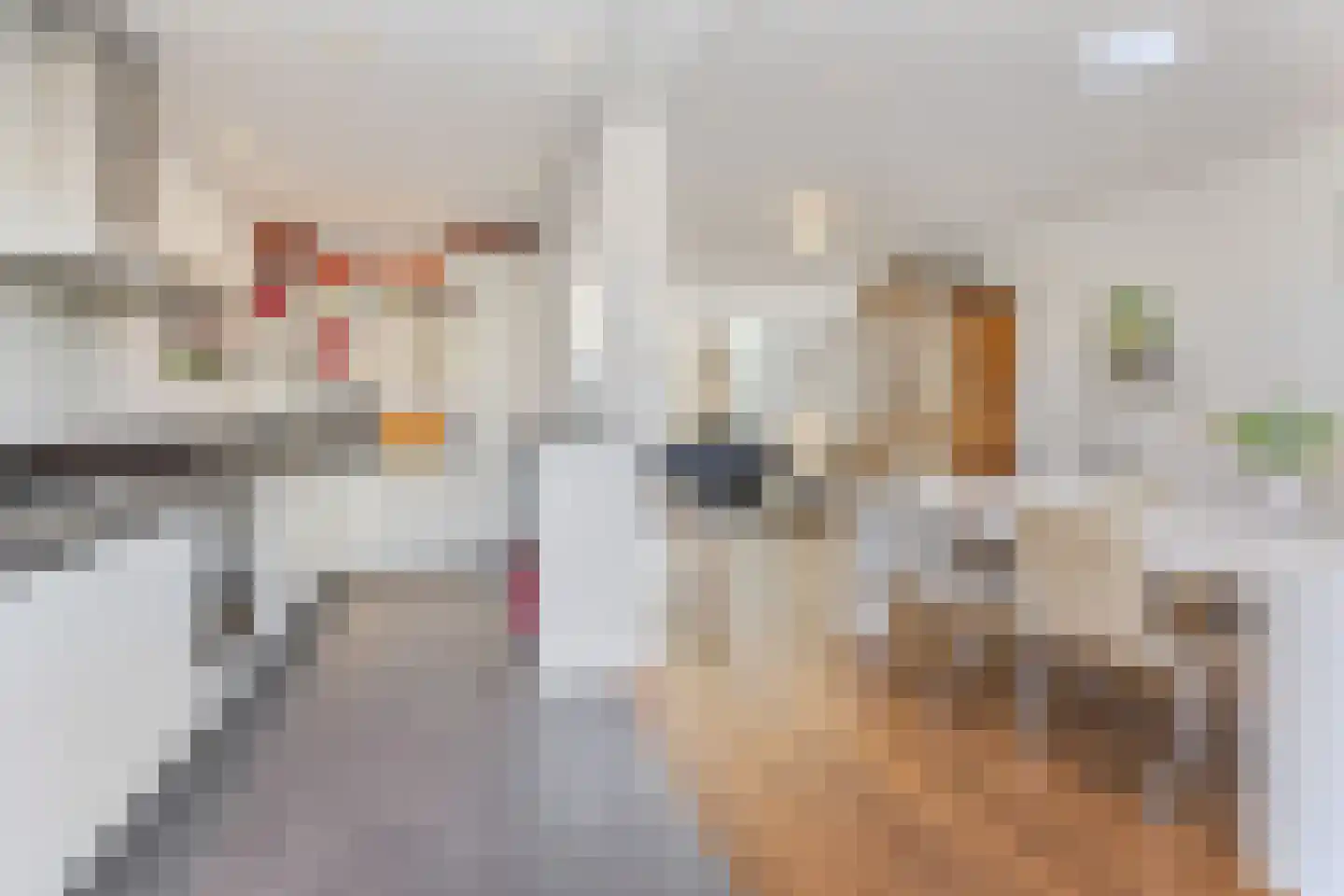 van Musschenbroekstraat 11 's-Hertogenbosch thumbnail 10