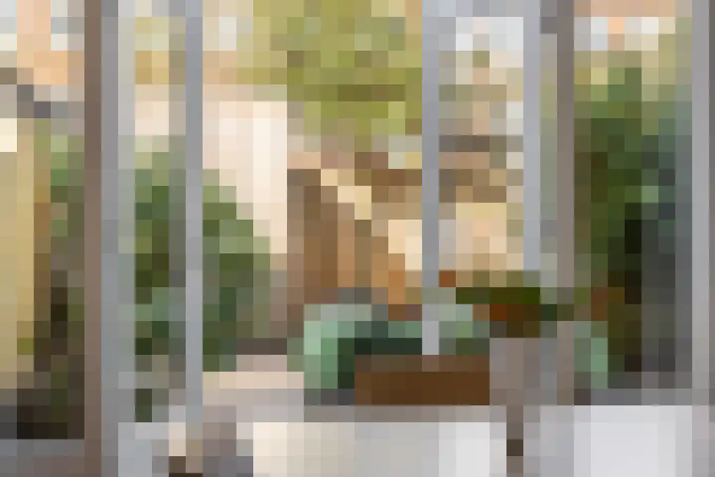 van Musschenbroekstraat 11 's-Hertogenbosch thumbnail 12