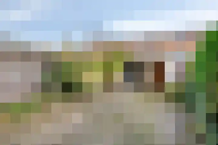 van Musschenbroekstraat 12 's-Hertogenbosch thumbnail 35