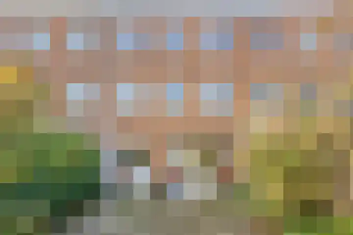 van Musschenbroekstraat 12 's-Hertogenbosch thumbnail 36