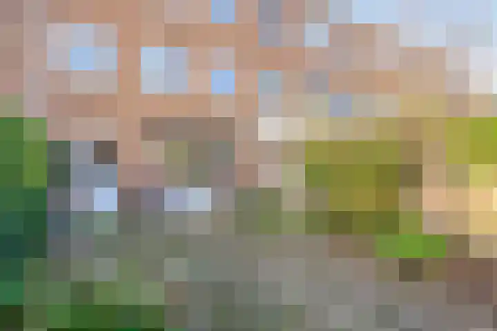 van Musschenbroekstraat 12 's-Hertogenbosch thumbnail 37