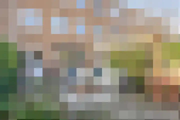 van Musschenbroekstraat 12 's-Hertogenbosch thumbnail 38