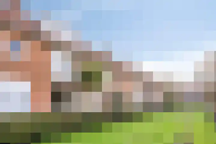 van Musschenbroekstraat 12 's-Hertogenbosch thumbnail 43