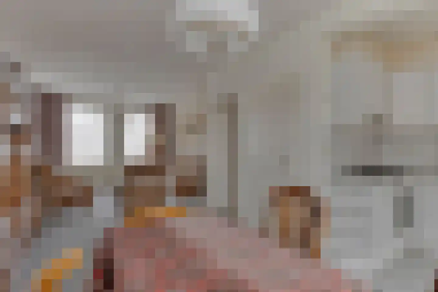van Musschenbroekstraat 13 Elsendorp thumbnail 15