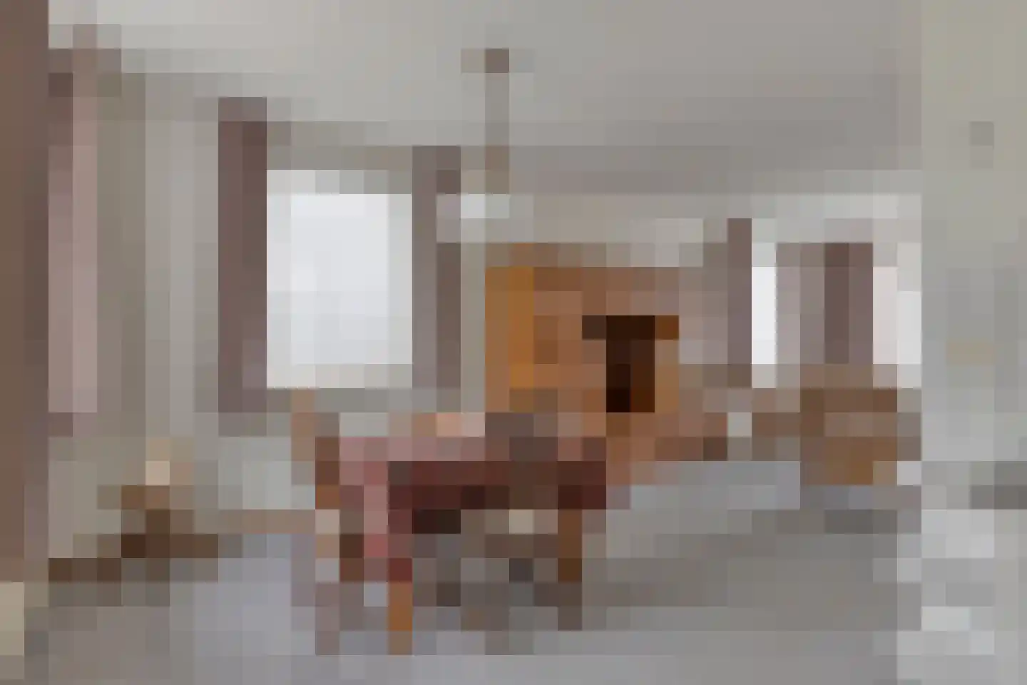 van Musschenbroekstraat 13 Elsendorp thumbnail 16