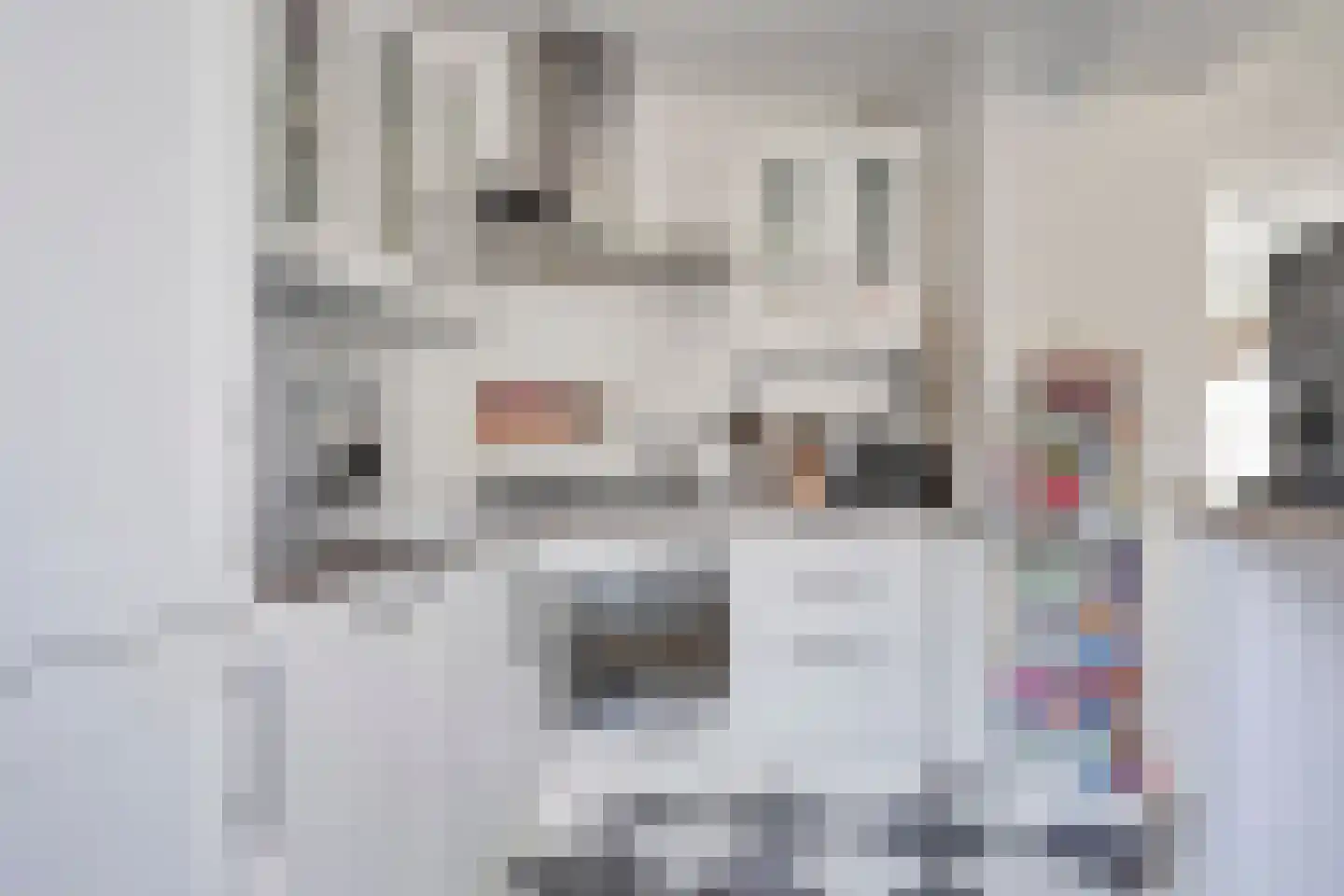 van Musschenbroekstraat 2 's-Hertogenbosch thumbnail 12