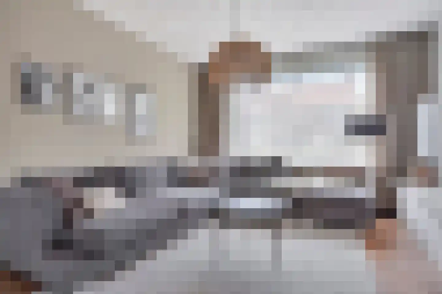 van Musschenbroekstraat 2 's-Hertogenbosch thumbnail 4