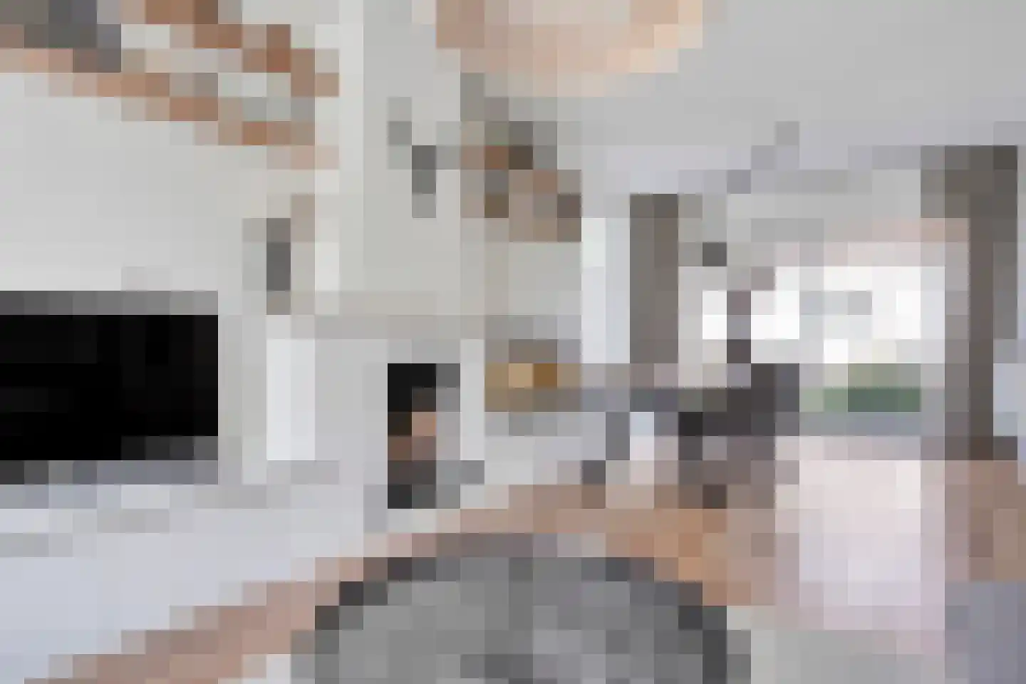 van Musschenbroekstraat 2 's-Hertogenbosch thumbnail 5