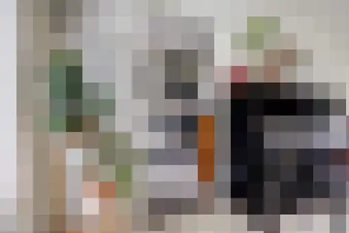 van Musschenbroekstraat 21 Nijmegen thumbnail 9