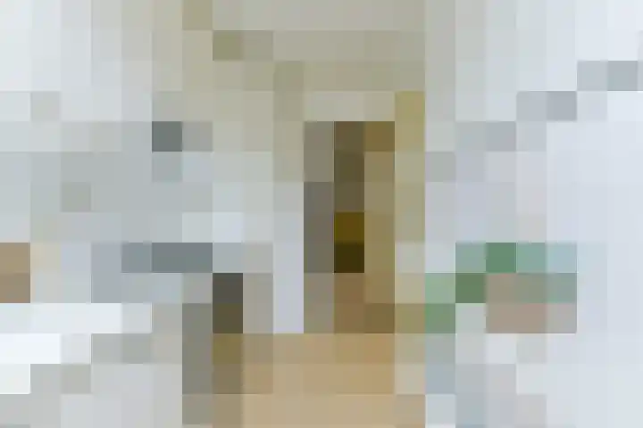Van Musschenbroekstraat 22 Utrecht thumbnail 10