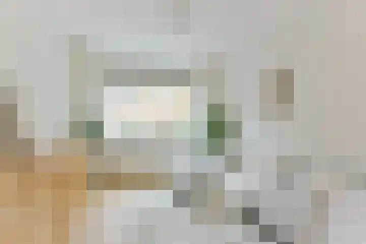 Van Musschenbroekstraat 22 Utrecht thumbnail 9