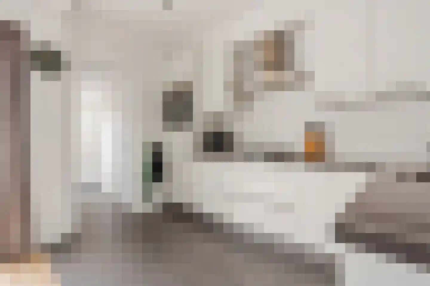 Van Musschenbroekstraat 29 Hilversum thumbnail 11