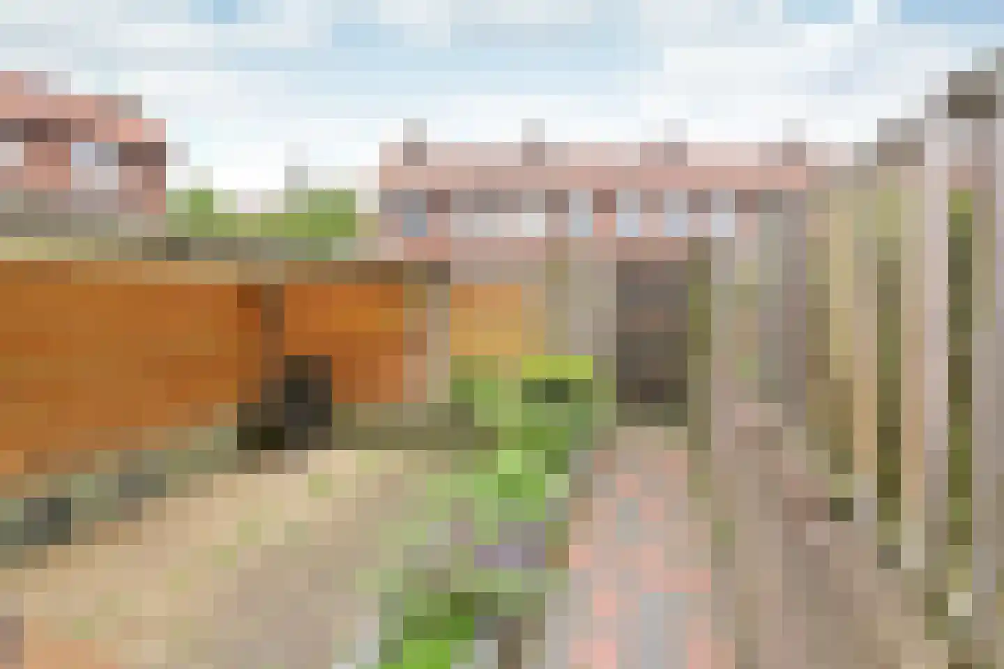 Van Musschenbroekstraat 3 Hilversum thumbnail 9