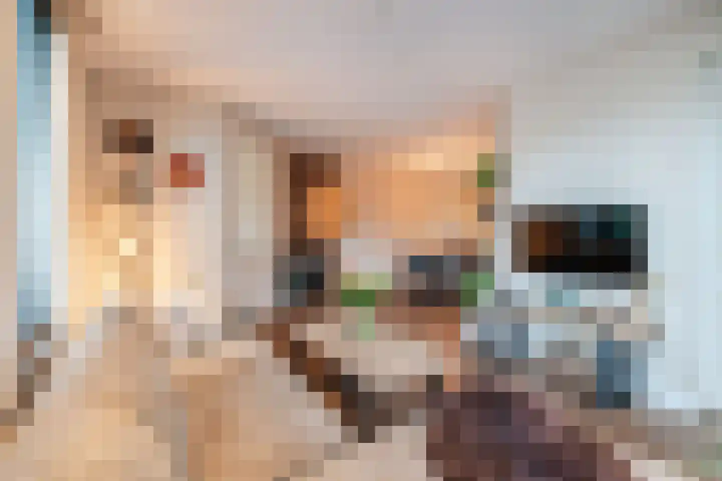 van Musschenbroekstraat 30 Elsendorp thumbnail 13