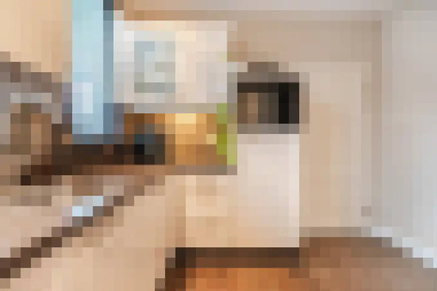 van Musschenbroekstraat 30 Elsendorp thumbnail 22