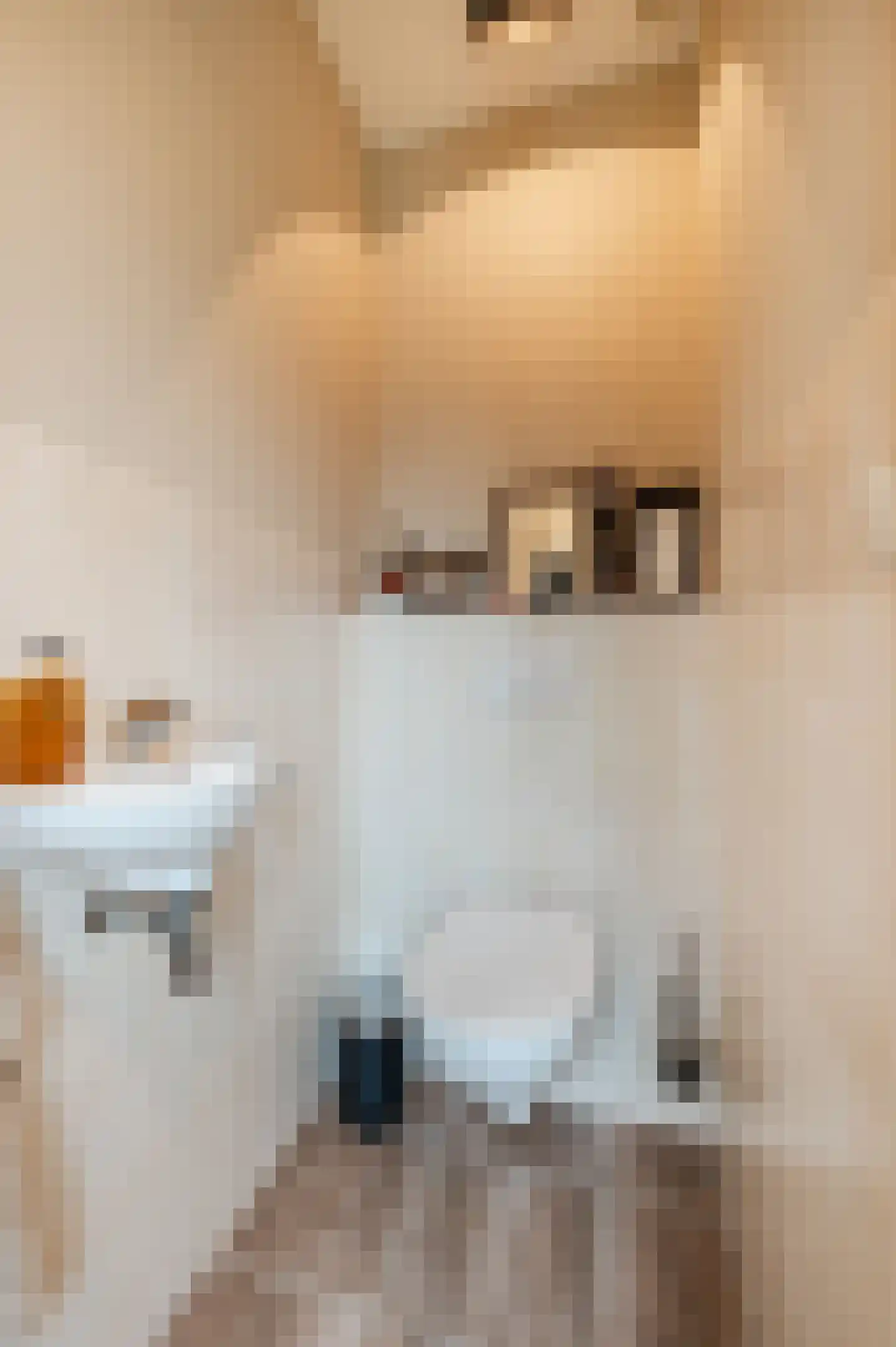 van Musschenbroekstraat 30 Elsendorp thumbnail 8