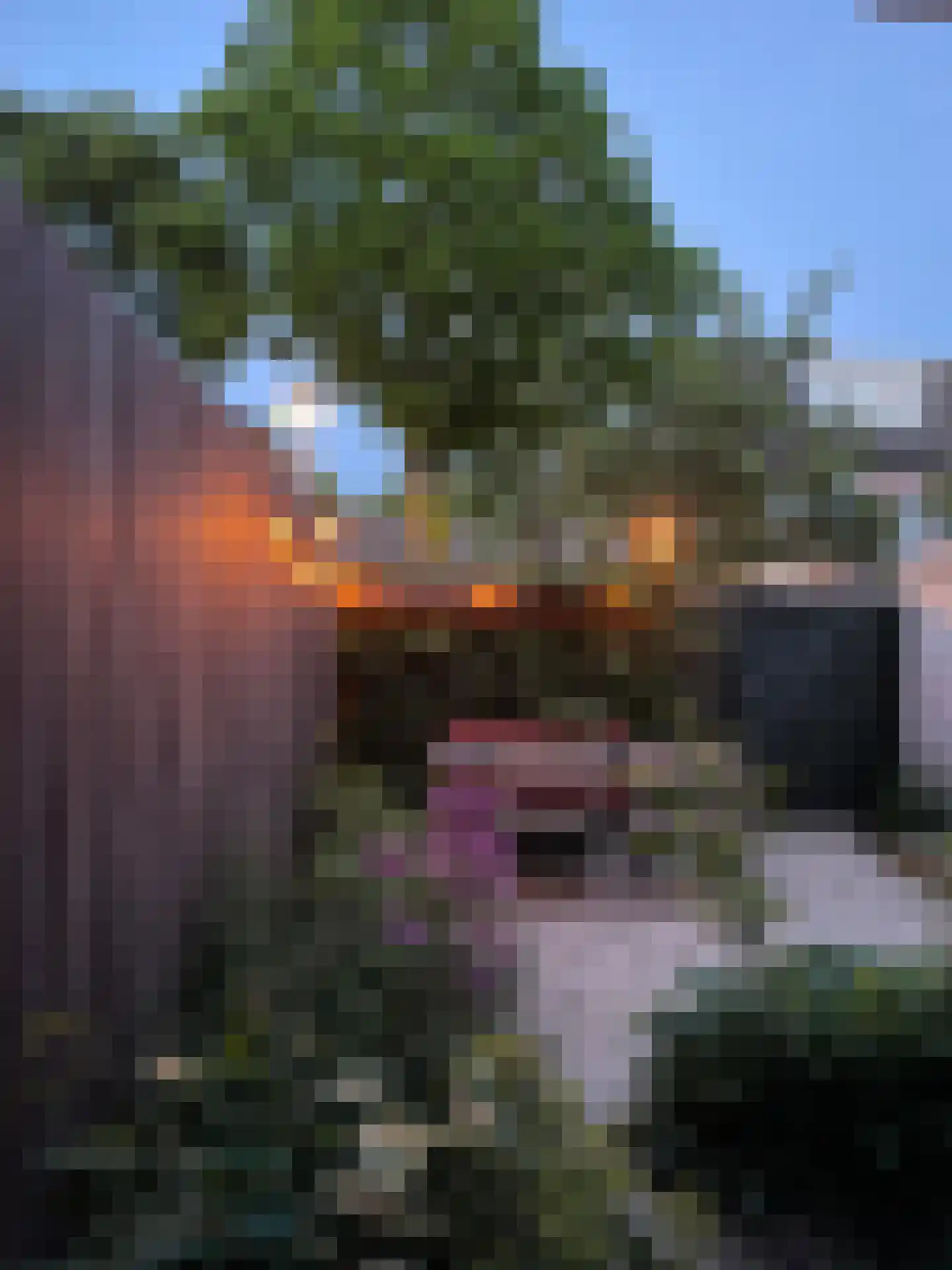 Van Musschenbroekstraat 33 Utrecht thumbnail 22