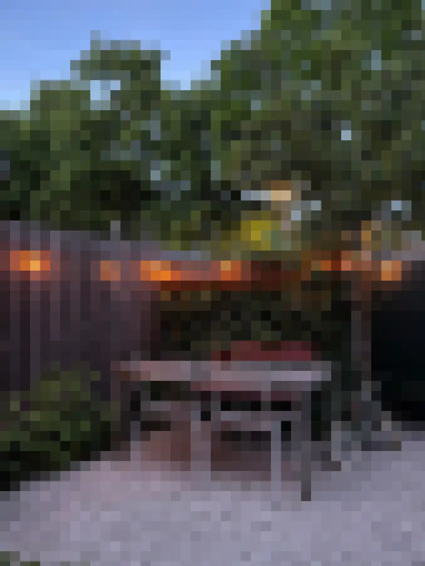 Van Musschenbroekstraat 33 Utrecht thumbnail 23
