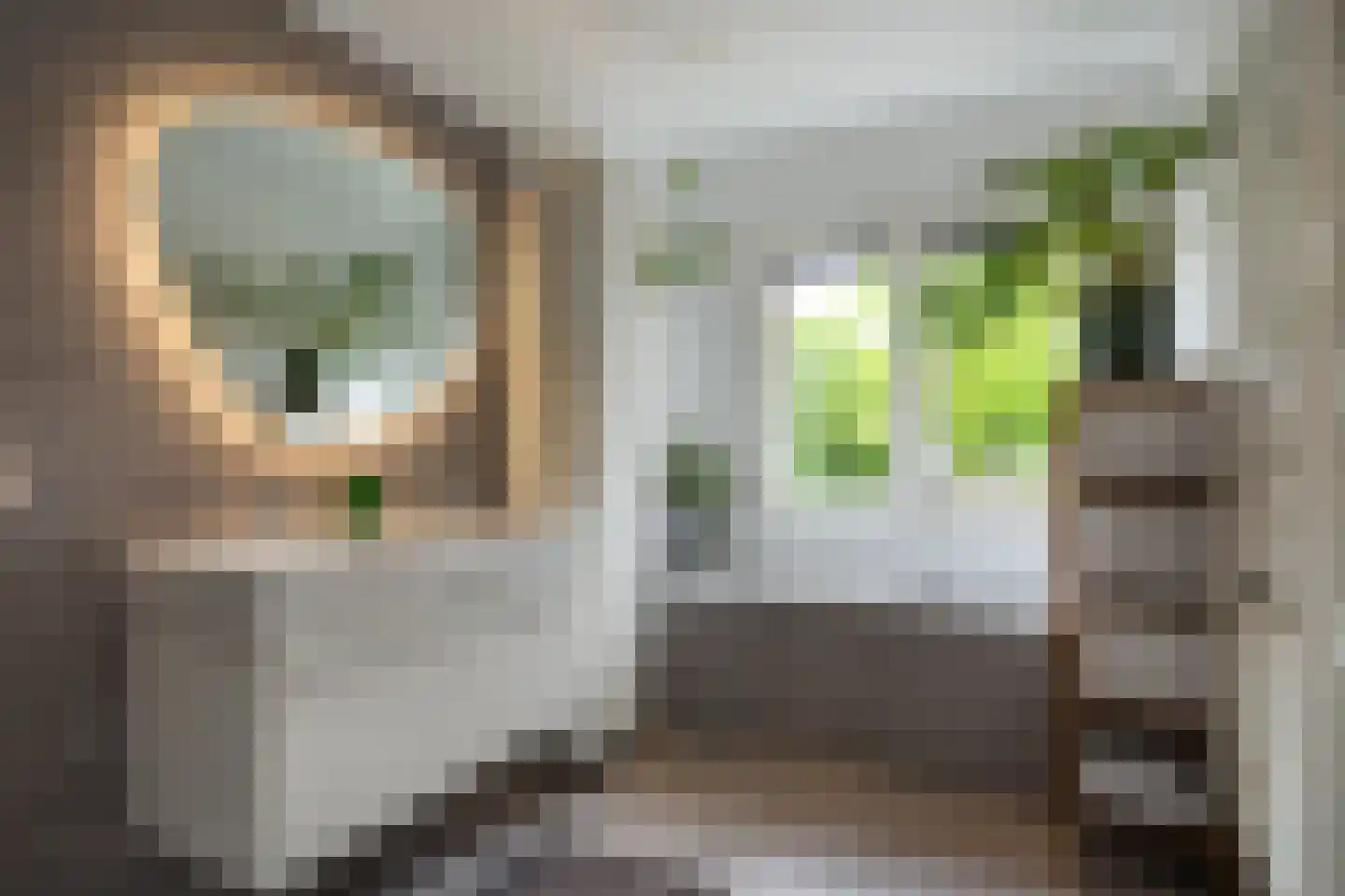 Van Musschenbroekstraat 33 Utrecht thumbnail 25