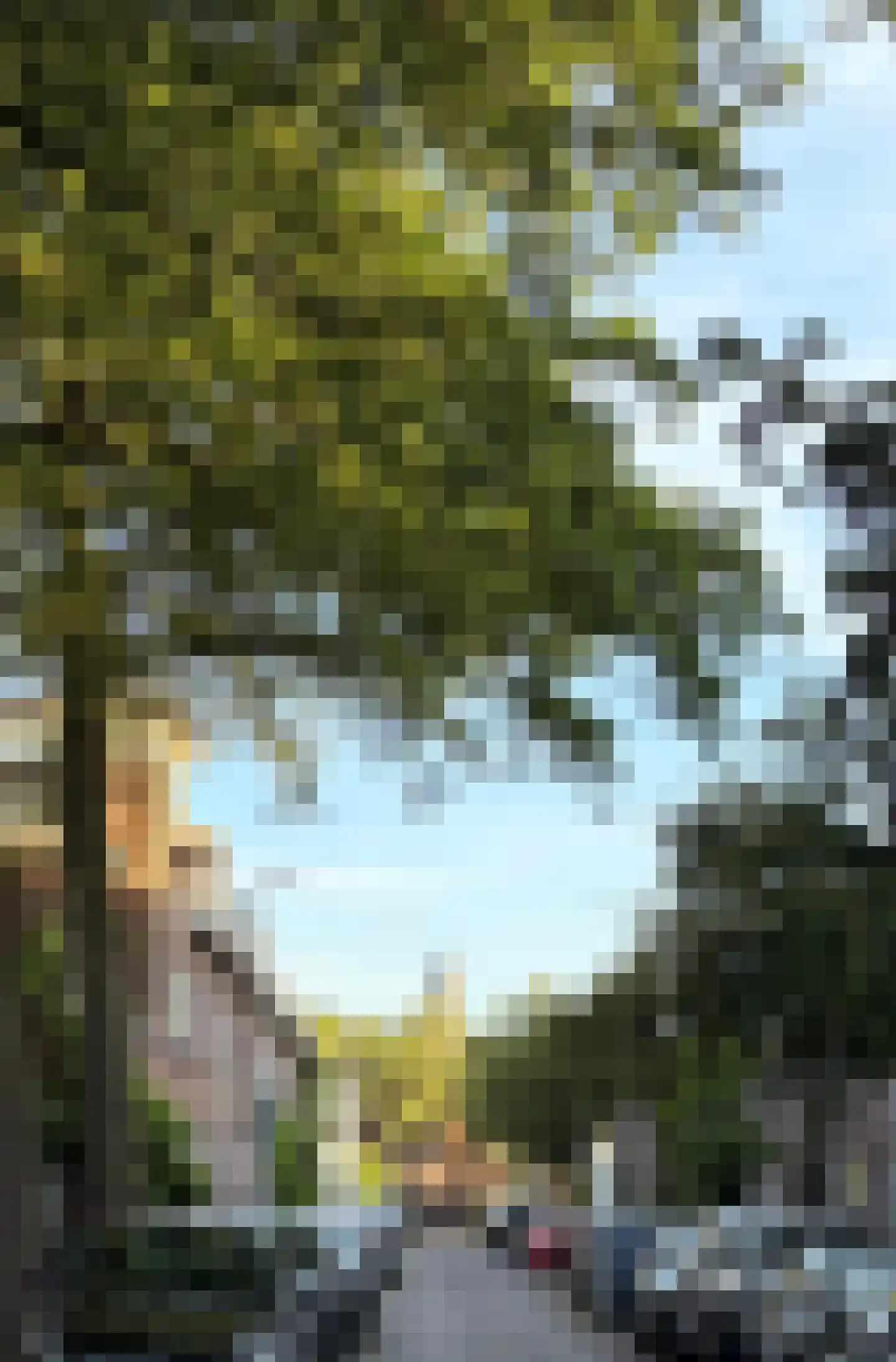 Van Musschenbroekstraat 33 Utrecht thumbnail 41