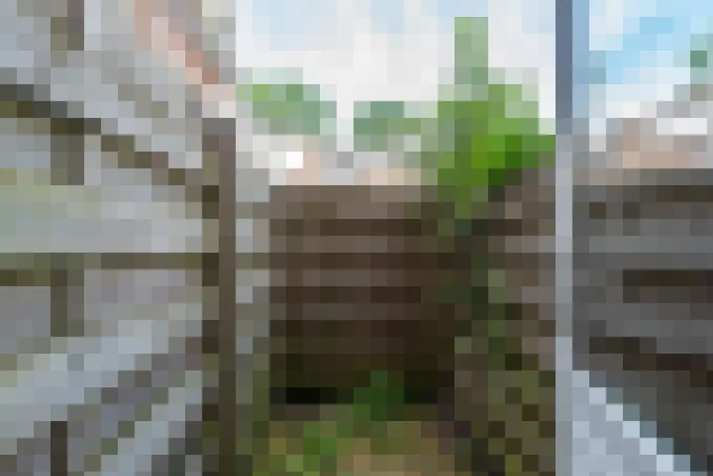 Van Musschenbroekstraat 36 A Utrecht thumbnail 19