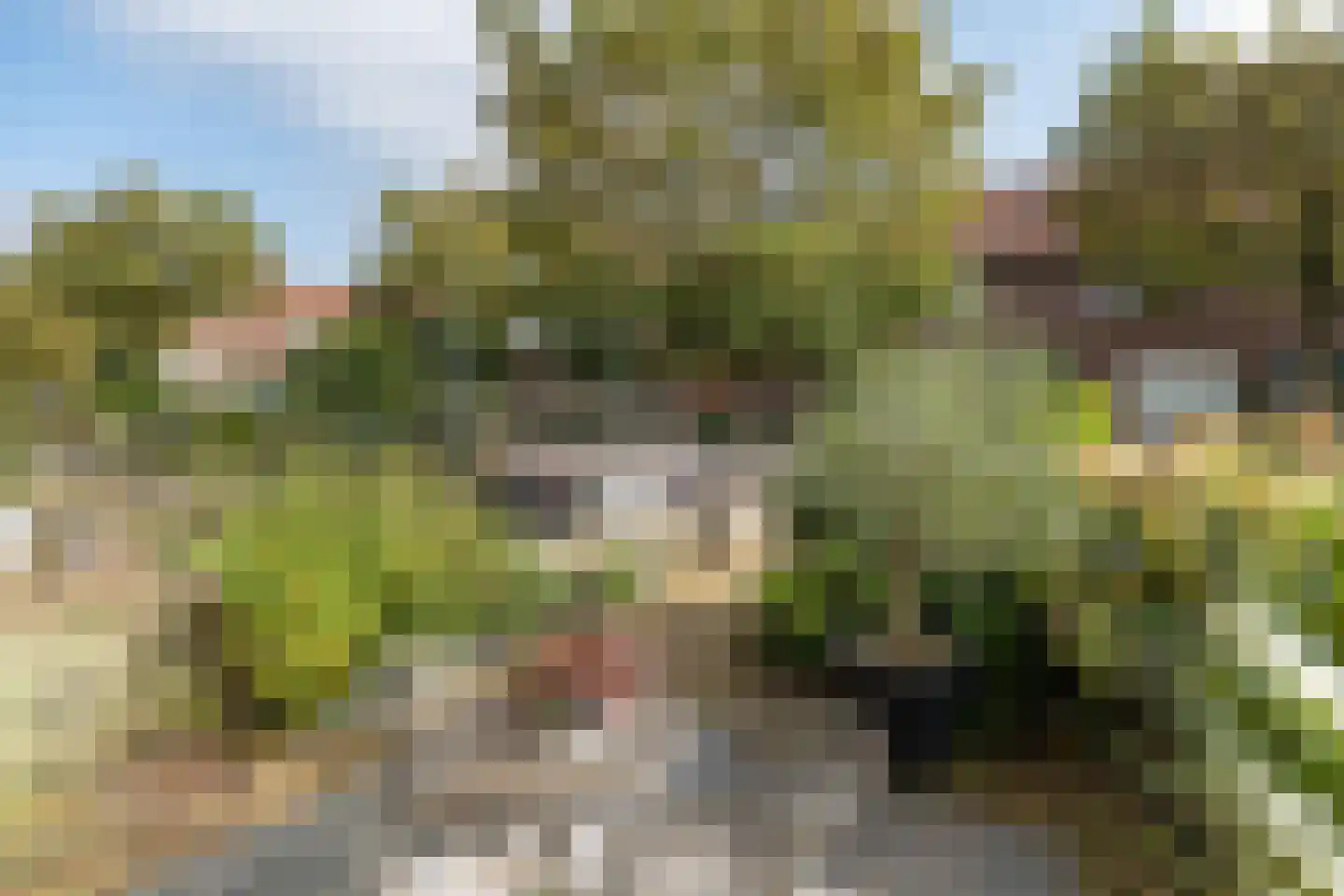 Van Musschenbroekstraat 36 Hilversum thumbnail 32