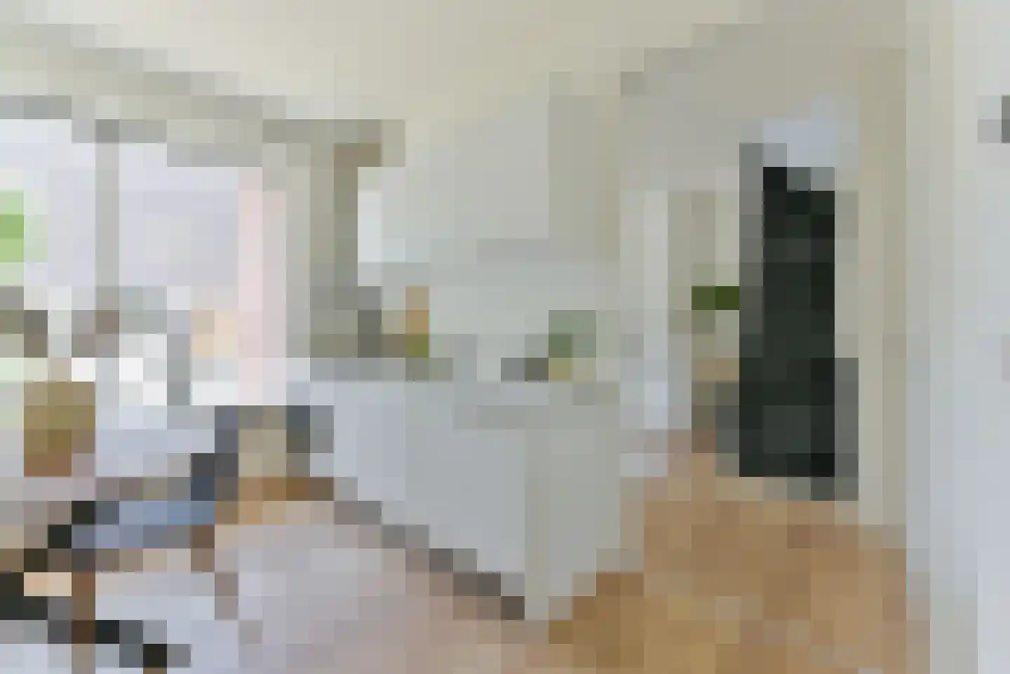 Van Musschenbroekstraat 36 Utrecht thumbnail 15