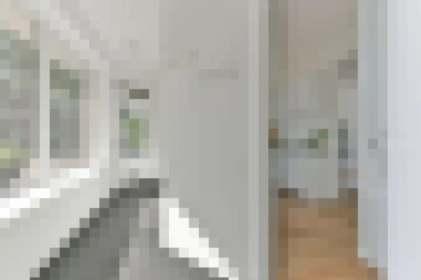 Van Musschenbroekstraat 36 Utrecht thumbnail 20