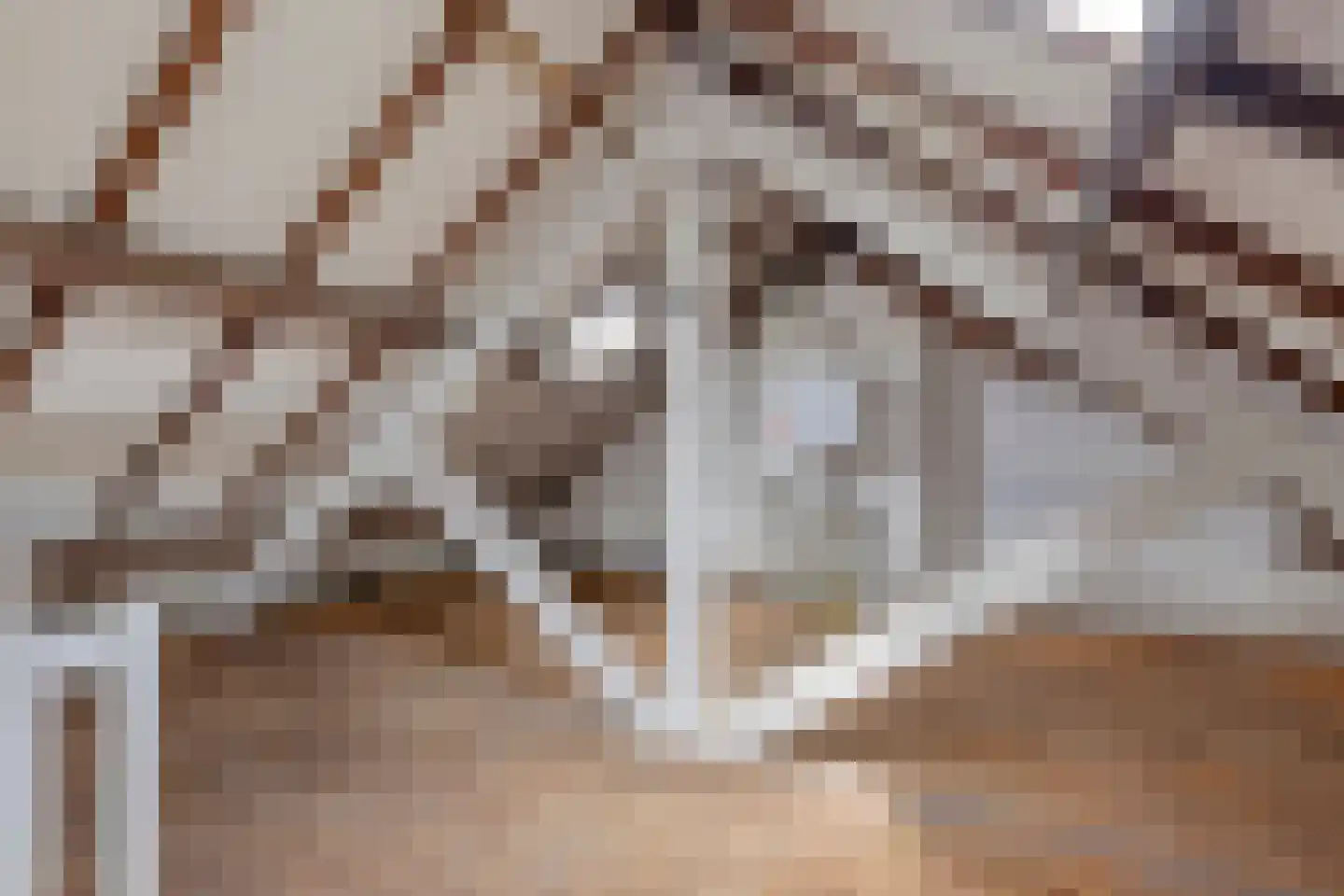van Musschenbroekstraat 4 's-Hertogenbosch thumbnail 20