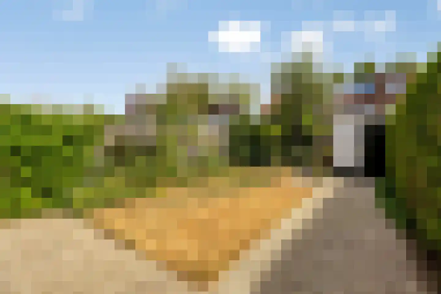 van Musschenbroekstraat 4 's-Hertogenbosch thumbnail 8