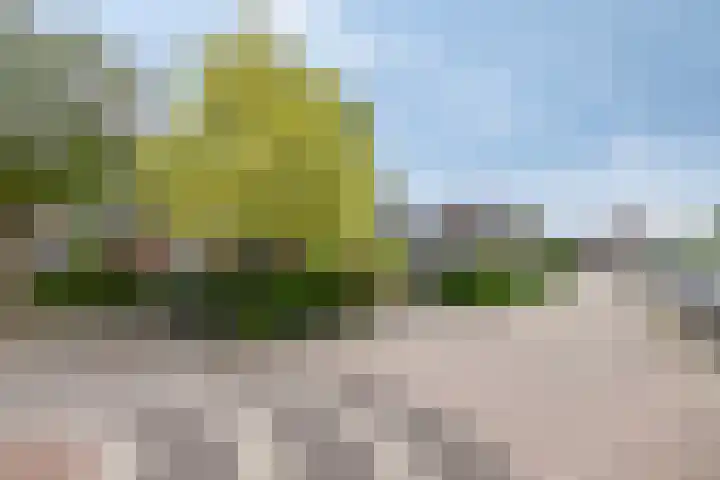 van Musschenbroekstraat 43 Elsendorp thumbnail 4