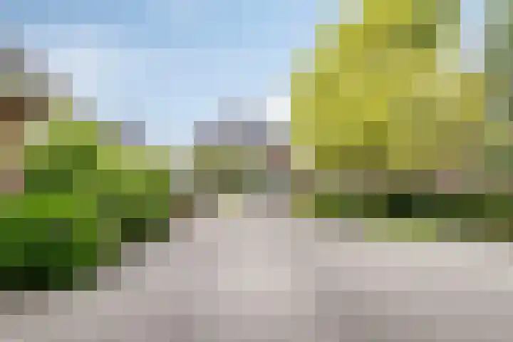 van Musschenbroekstraat 43 Elsendorp thumbnail 6
