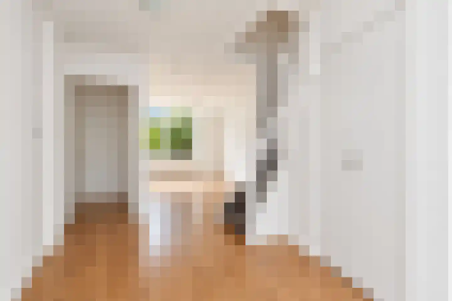 Van Musschenbroekstraat 51 Den Haag thumbnail 9